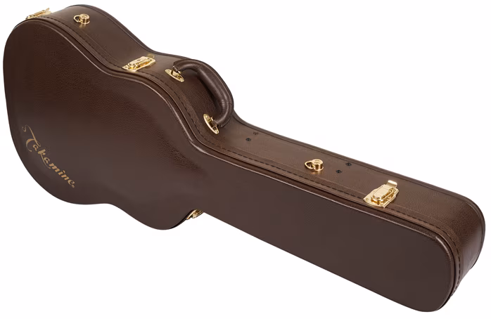 Takamine P3DC-12 - Dvanásťstrunová elektroakustická gitara