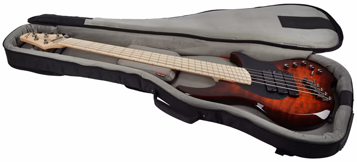 Dingwall Combustion 5 MN Vintage Burst - Elektrická basgitara