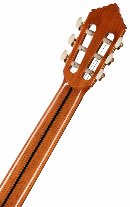 Alhambra Premier Pro Madagascar - Klasická gitara