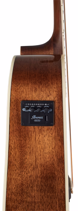 Ibanez AW70ECE Natural - Elektroakustická gitara