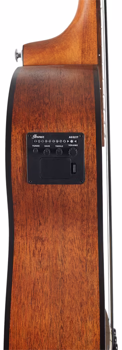 Ibanez PCBE12 Natural - Elektroakustická basgitara