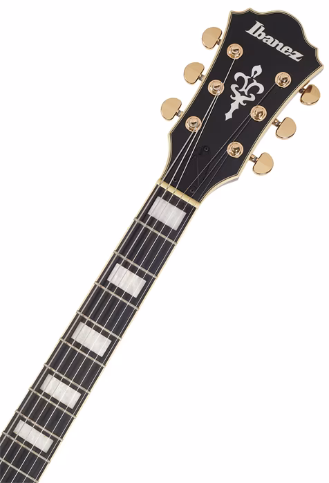 Ibanez AG95QA Dark Brown Sunburst - Semiakustická gitara
