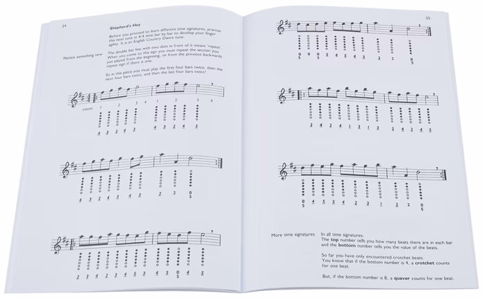 MS How To Play The Penny Whistle - Škola hry na írskej flaute