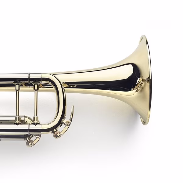 VanLaar B9.1 Bb Trumpet Raw Brass - Trúbka