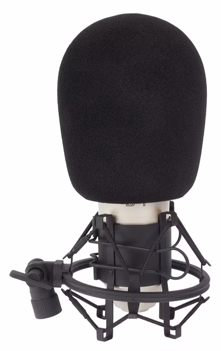 Behringer B-1 - Kondenzátorový mikrofón