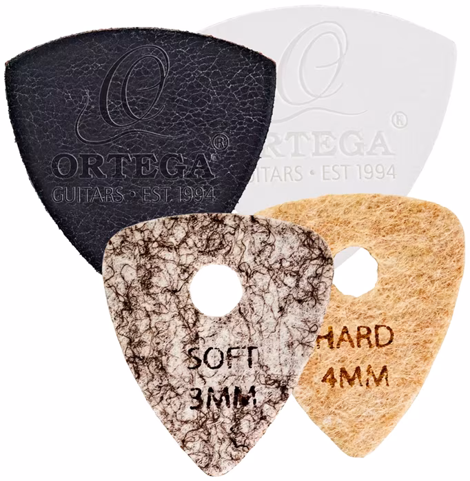 Ortega OGP-VP1 - Brnkátka