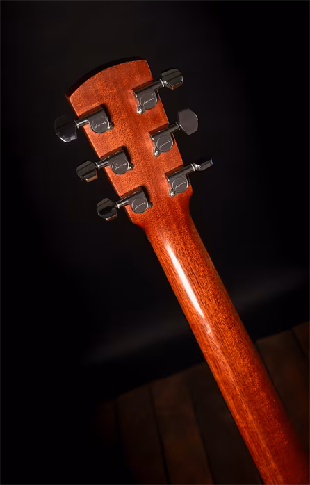 Larrivée 2003 OM - Elektrická gitara