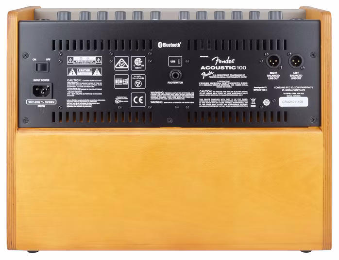 Fender Acoustic 100 - Kombo na akustické nástroje