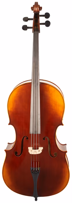 Gewa Maestro 6 Cello 4/4 - Violončelo