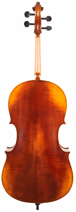 Gewa Maestro 6 Cello 4/4 - Violončelo