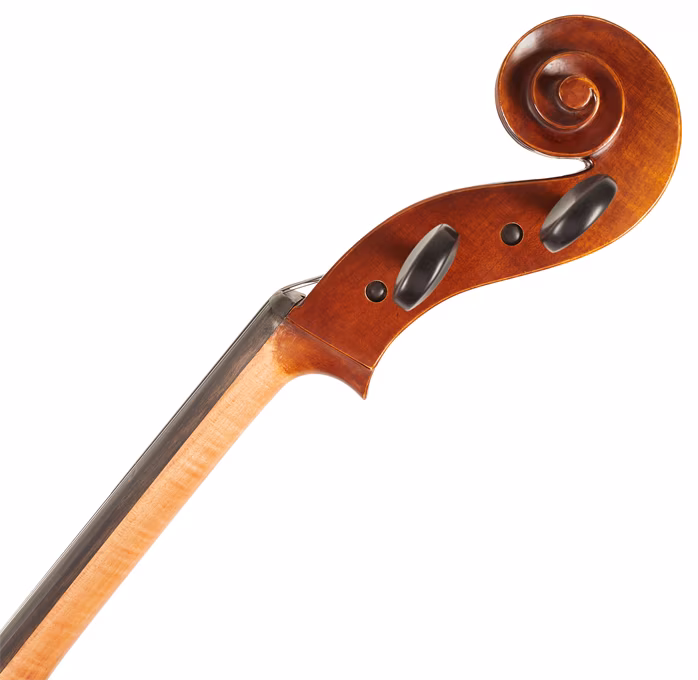 Gewa Maestro 6 Cello 4/4 - Violončelo