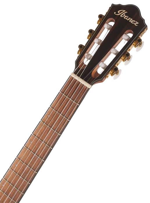 Ibanez FRH10NF Brown Sunburst - Klasická elektroakustická gitara