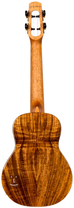 Flight Voyager Concert EQ -A - Elektroakustické ukulele