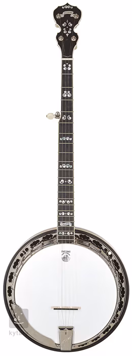 Deering Calico 5-String - Bendžo