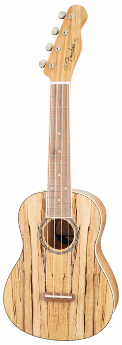 Fender Zuma Exotic Concert Ukulele WN SM - Akustické ukulele