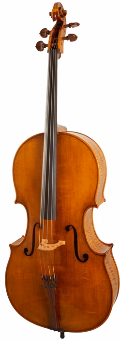 Maestro Instrument Petr Rácz Violoncello anno 2015 - Violončelo