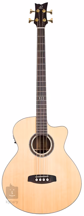 Ortega D558-4 - Elektroakustická basgitara