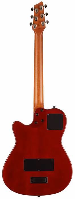 Godin A6 Ultra Natural SG - Elektroakustická hybridná gitara