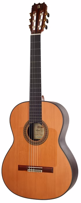 Alhambra 10 Fp Pinana - Klasická gitara