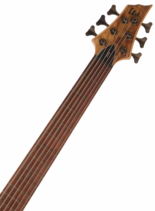 ESP LTD B-206SM NS - Elektrická basgitara