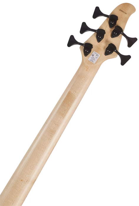 Dingwall D-Roc 5 MN Blue to Purple Colorshift - Elektrická basgitara