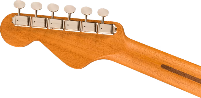 Fender Highway Series Dreadnought RW MAH - Elektroakustická gitara