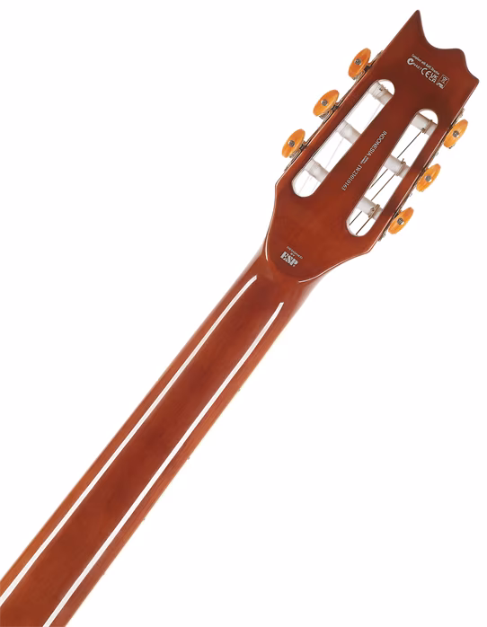 ESP LTD TL-6 N NAT - Klasická elektroakustická gitara
