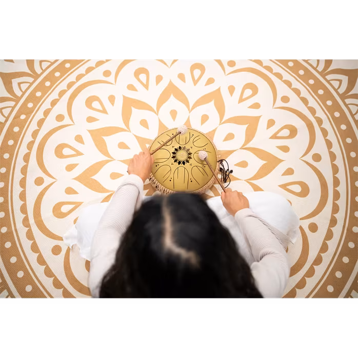 Meinl Sonic Energy 10" Octave Steel Tongue Drum C Major - Tongue drum