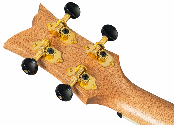 Ortega RUGH-SRT - Akustické ukulele