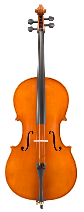 Eastman Andreas Eastman Cello 4/4 (VC250SBC) - Violončelo