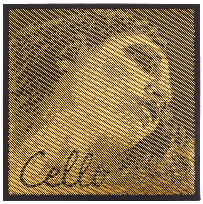 Pirastro Evah Pirazzi Gold Vcl Set medium - Violoncellové struny