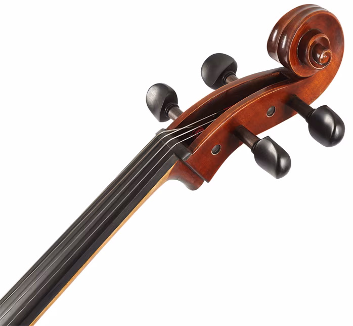 Eastman Rudoulf Doetsch Cello 4/4 (VC701G ) - Violončelo