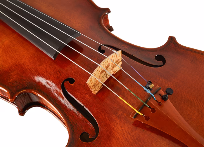 Eastman Amsterdam Atelier 2 Series 4/4 Violin - Akustické husle