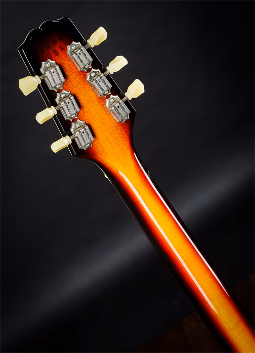 Hamer 2008 Talladega - Elektrická gitara
