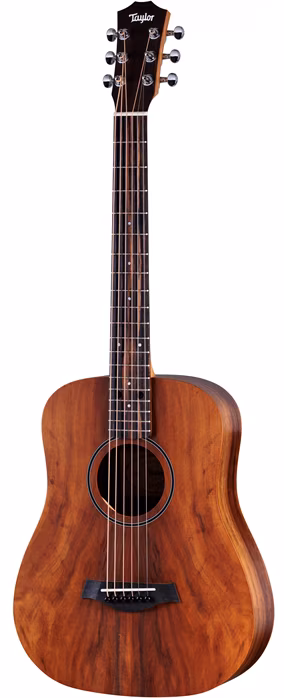 Taylor BT Koa - Akustická gitara