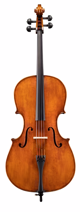 Eastman 830 Series 4/4 Stradivari/Poplar Cello - Violončelo