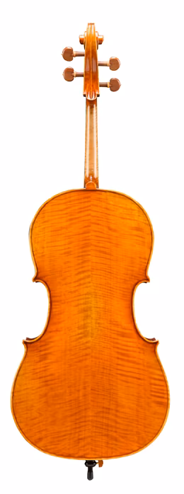 Eastman Amsterdam Atelier 3 Series 4/4 Cello - Violončelo