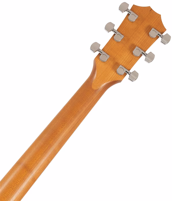 Taylor Academy 12e - Elektroakustická gitara