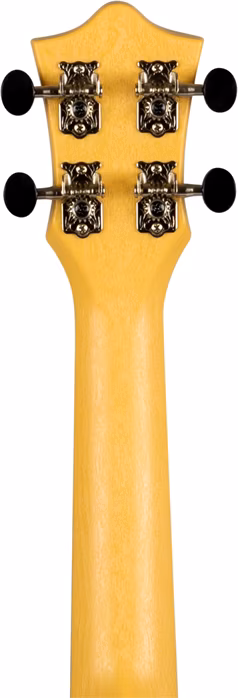 Flight TUS-40 DANDELIONS - Akustické ukulele