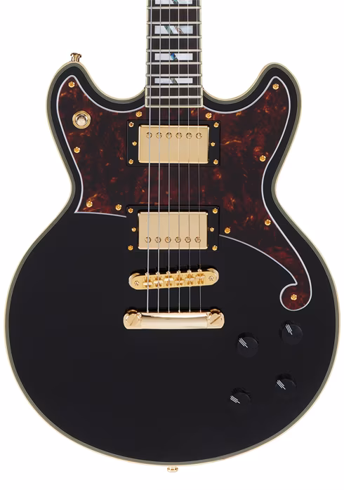 D'Angelico Deluxe Brighton Black - Elektrická gitara