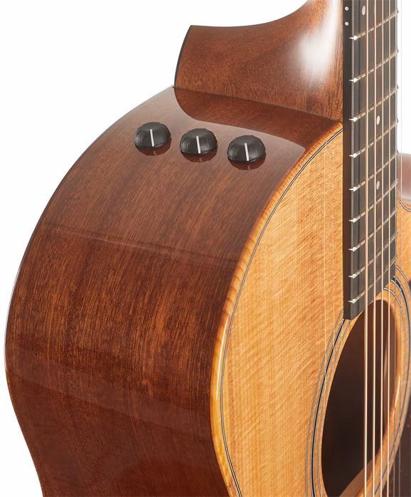 Taylor 314ce Studio - Elektroakustická gitara