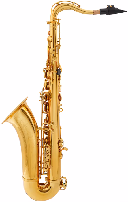 Arnolds & Sons ATS-301 Terra - Saxofón