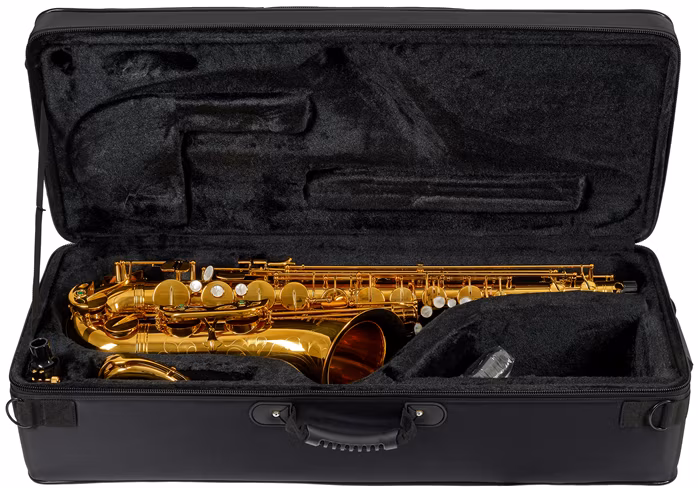 Arnolds & Sons ATS-301 Terra - Saxofón