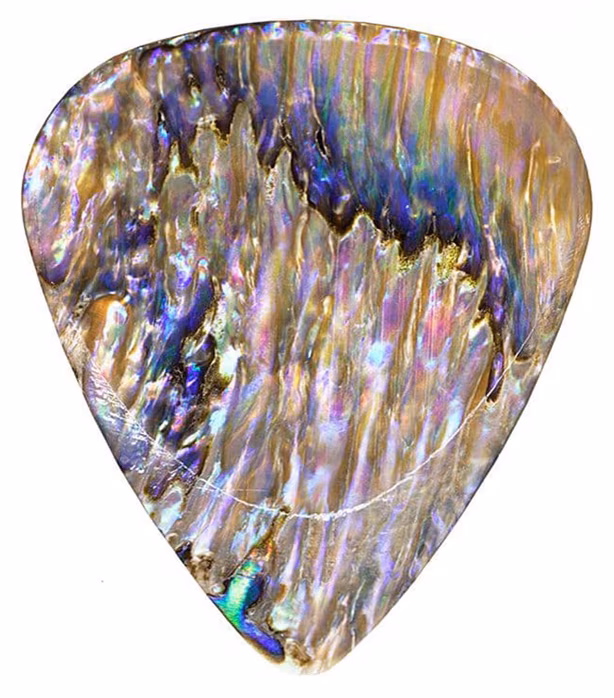 Timber Tones Abalone Tones Paua Abalone  - Brnkadlo