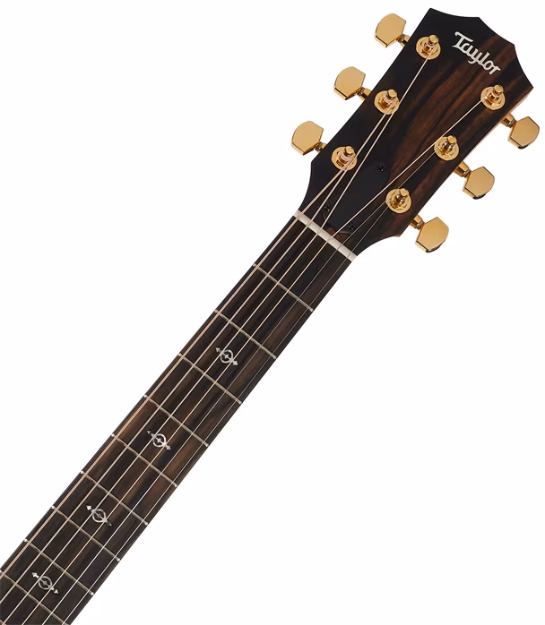 Taylor 214ce-K DLX - Elektroakustická gitara