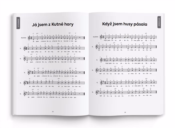 Frontman Kalimba Zpěvník 1 - Škola hry na kalimbu