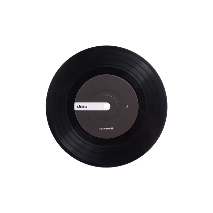 Stokyo Algoriddim djay Control Vinyl 7'' - Performance vinyl