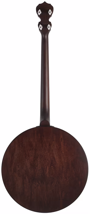 Deering Artisan Goodtime Two 19-Fret Tenor - Tenorové bendžo