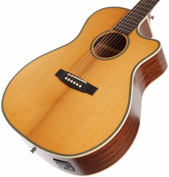 Cort ES-GA4 NSG - Elektroakustická gitara