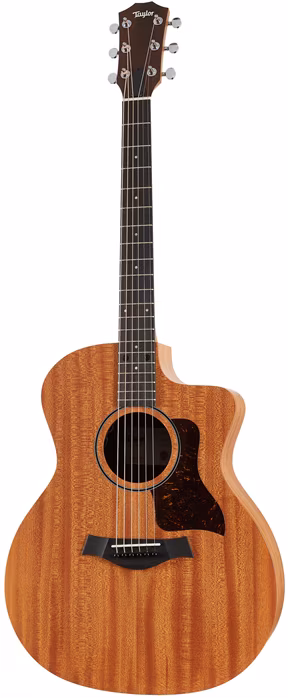 Taylor 24ce (rozbalené) - Elektroakustická gitara